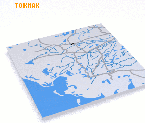 3d view of Tokmak