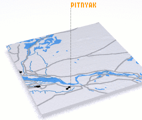 3d view of Pitnyak