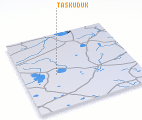 3d view of Taskuduk