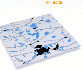 3d view of Sel\