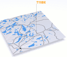 3d view of Tyube