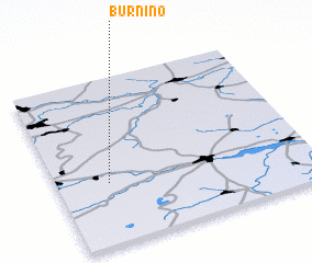 3d view of Burnino