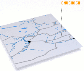 3d view of Omushosh