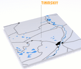 3d view of Timinskiy