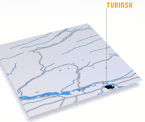 3d view of Turinsk