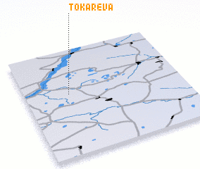 3d view of Tokarëva