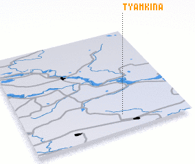 3d view of Tyamkina