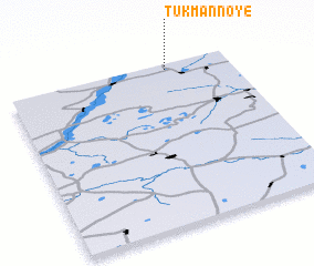 3d view of Tukmannoye