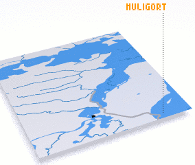 3d view of Muligort