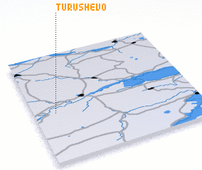 3d view of Turushevo