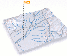 3d view of Rozi