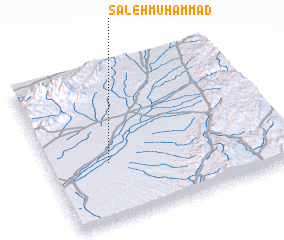 3d view of Sāleh Muhammad