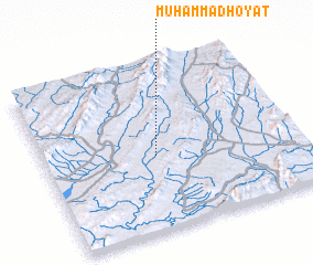 3d view of Muhammad Hoyāt