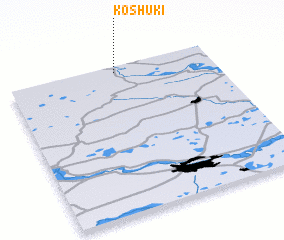 3d view of Koshuki