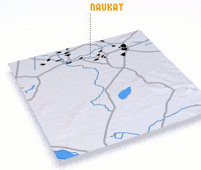 3d view of Naukat