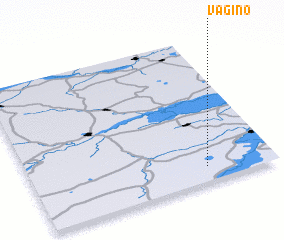 3d view of Vagino