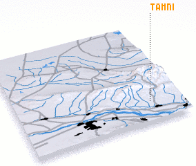3d view of Tamni