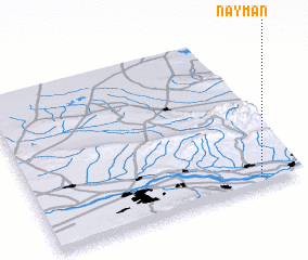 3d view of Nayman