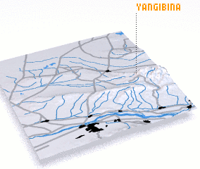 3d view of Yangibina