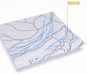 3d view of Nokjo