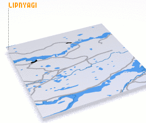 3d view of Lipnyagi