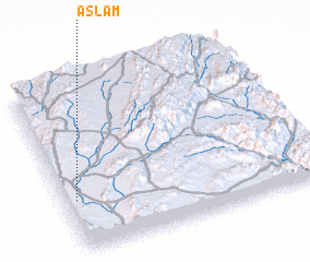 3d view of Aslam