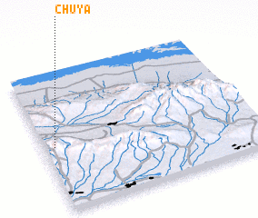 3d view of Chuya
