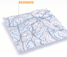 3d view of Bāghwāna