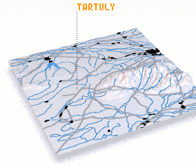 3d view of Tartuly