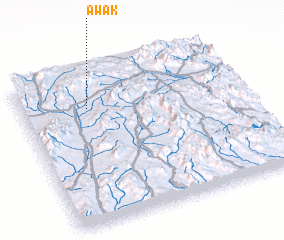 3d view of Awak