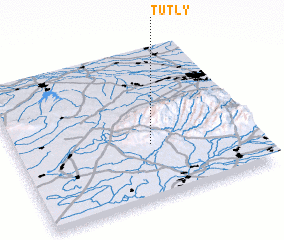 3d view of Tutly