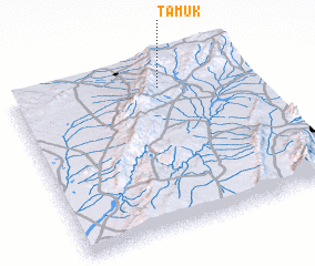 3d view of Tamūk