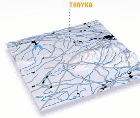 3d view of Tonyka