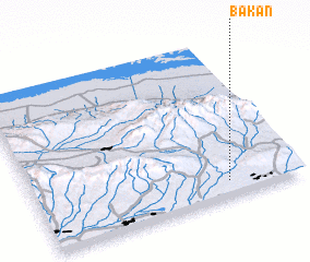 3d view of Bakan