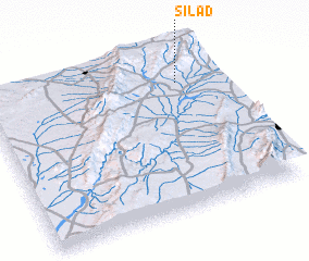 3d view of Silad