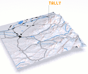 3d view of Tally