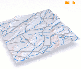 3d view of Walīd