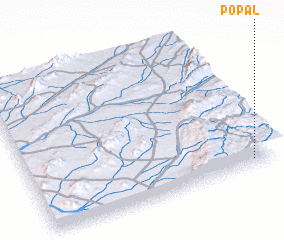 3d view of Popal