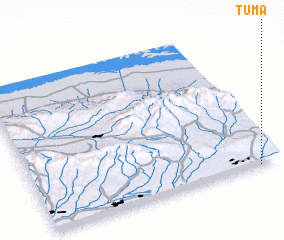 3d view of Tuma