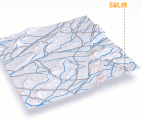 3d view of Salīm