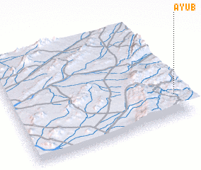 3d view of Ayūb