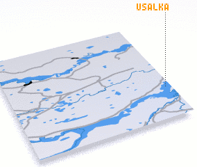 3d view of Usalka