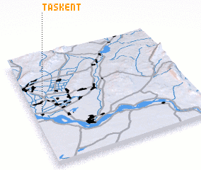 3d view of Taskent