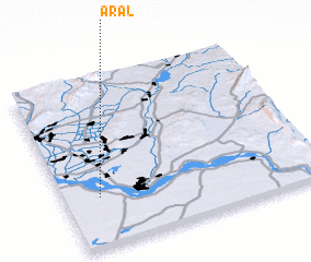 3d view of Aral