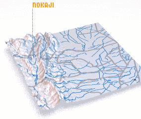 3d view of Nokaji