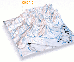 3d view of Chopiq