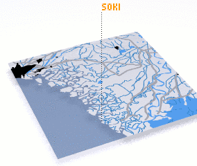 3d view of Soki