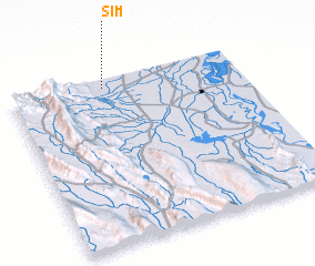 3d view of Sim