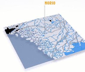 3d view of Morio