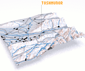 3d view of Toshmunor